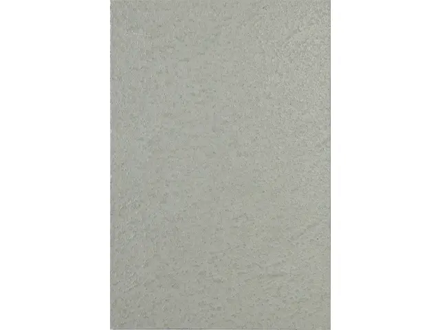CAMPIONE A5 SOLIDRO FLOATED SF-B20 silver grey 30g