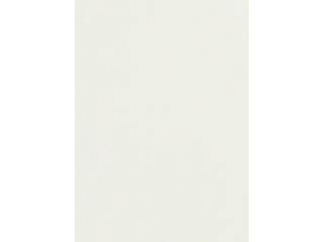 CAMPIONE SOLIDRO 210x150mm COLORE WHITE 30g