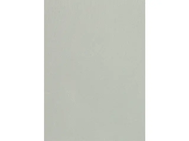 CAMPIONE SOLIDRO 210x150mm COLORE SILVER GREY 30g