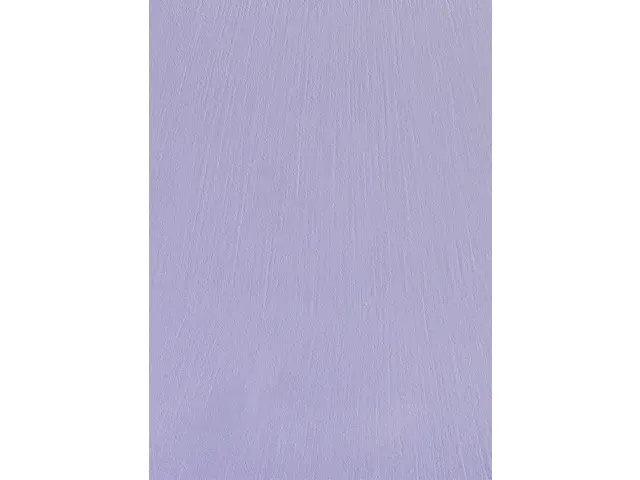 CAMPIONE SOLIDRO 210x150mm COLORE PCS GLICINE 10g