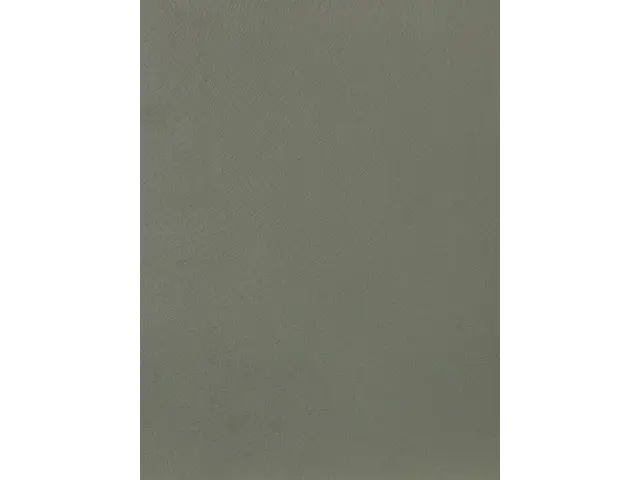 CAMPIONE SOLIDRO 210x150mm COLORE MUSCHIO 30g