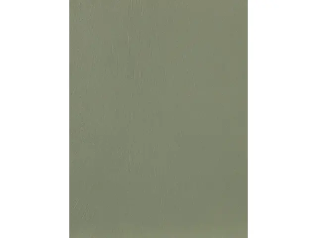 CAMPIONE SOLIDRO 210x150mm COLORE PISTACCHIO 30g
