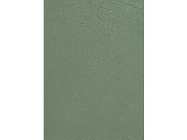 CAMPIONE SOLIDRO 210x150mm COLORE SMOKE 10g+ FORESTA 30g