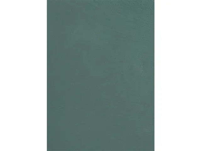 CAMPIONE SOLIDRO 210x150mm COLORE PCS BOSCO 30g