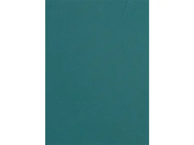 CAMPIONE SOLIDRO 210x150mm COLORE PCS OTTANIO 30g
