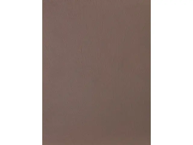 CAMPIONE SOLIDRO 210x150mm COLORE CACAO 30g