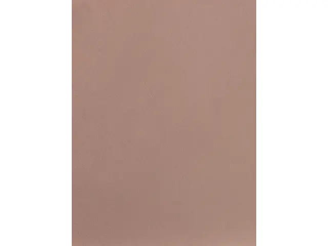CAMPIONE SOLIDRO 210x150mm COLORE CANNELLA 10g