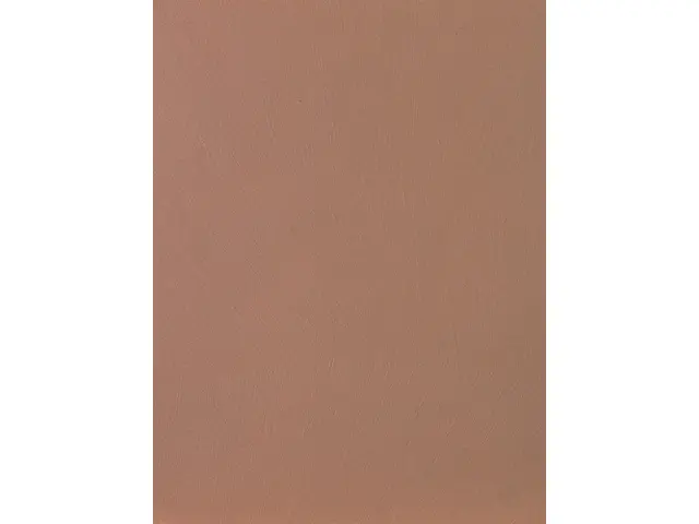CAMPIONE SOLIDRO 210x150mm COLORE TERRACOTTA 30g