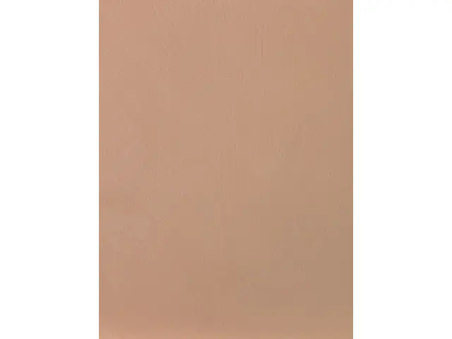 CAMPIONE SOLIDRO 210x150mm COLORE MAPPLEWOOD 10g