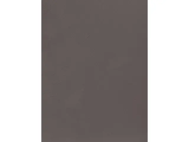 CAMPIONE SOLIDRO 210x150mm COLORE MOKA 30g