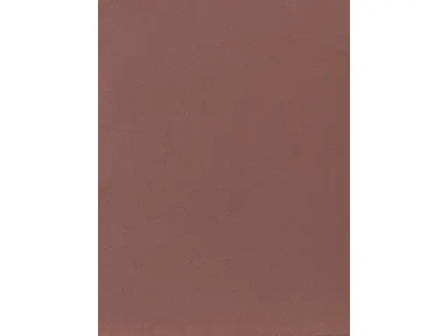 CAMPIONE SOLIDRO 210x150mm COLORE RUGGINE 30g