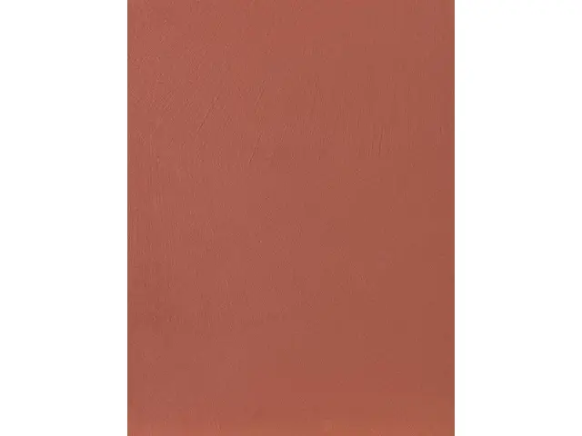 CAMPIONE SOLIDRO 210x150mm COLORE ROSSO MATTONE 30g
