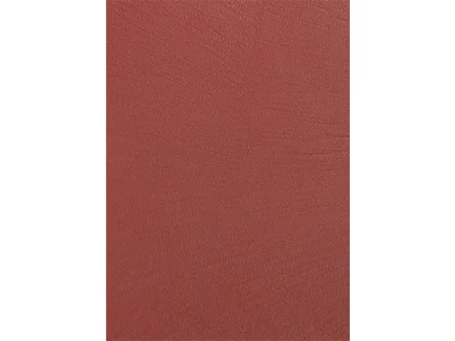 CAMPIONE SOLIDRO 210x150mm COLORE PCS ROSSO GRANATA 50g