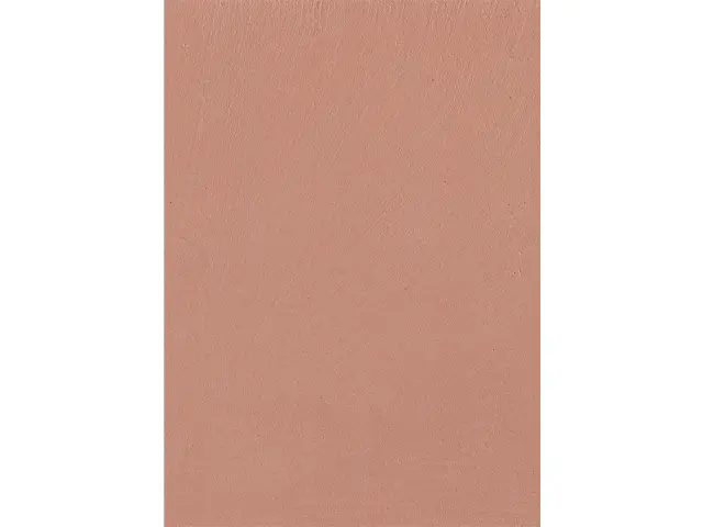 CAMPIONE SOLIDRO 210x150mm COLORE ROSE 10g