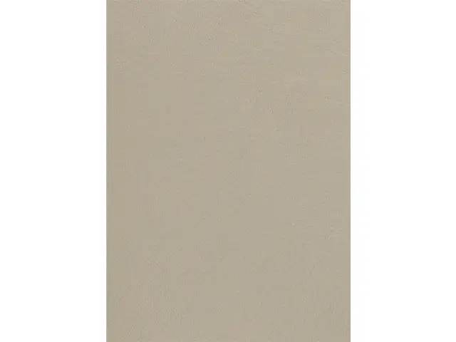 CAMPIONE SOLIDRO 210x150mm COLORE ASH WHITE 30g+CHARCOAL 3g