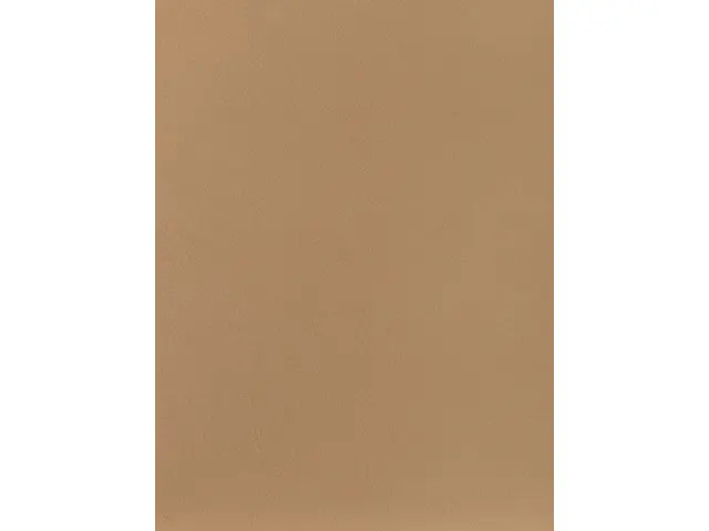CAMPIONE SOLIDRO 210x150mm COLORE OCRA 30g