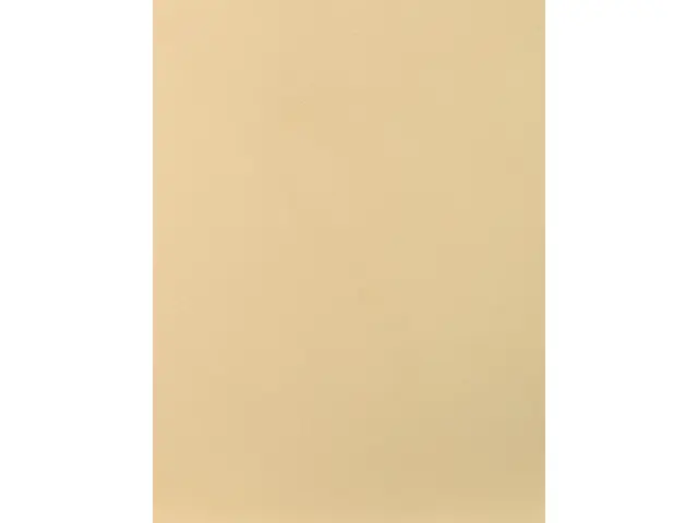 CAMPIONE SOLIDRO 210x150mm COLORE IVORY 10g