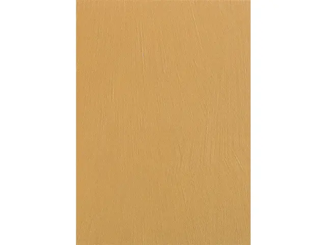 CAMPIONE SOLIDRO 210x150mm COLORE YELLOW 30g