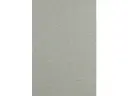CAMPIONE A5 SOLIDRO FLOATED SF-B20 silver grey 30g