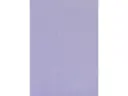 CAMPIONE SOLIDRO 210x150mm COLORE PCS GLICINE 10g