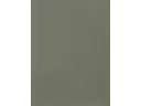 CAMPIONE SOLIDRO 210x150mm COLORE MUSCHIO 30g