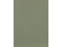 CAMPIONE SOLIDRO 210x150mm COLORE PISTACCHIO 30g