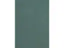 CAMPIONE SOLIDRO 210x150mm COLORE PCS BOSCO 30g