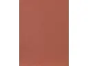 CAMPIONE SOLIDRO 210x150mm COLORE ROSSO MATTONE 30g