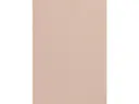 CAMPIONE SOLIDRO 210x150mm COLORE ROSE 1g
