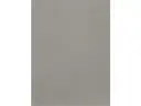 CAMPIONE SOLIDRO 210x150mm COLORE OCCHIALINO 30g