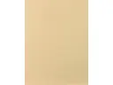 CAMPIONE SOLIDRO 210x150mm COLORE IVORY 10g